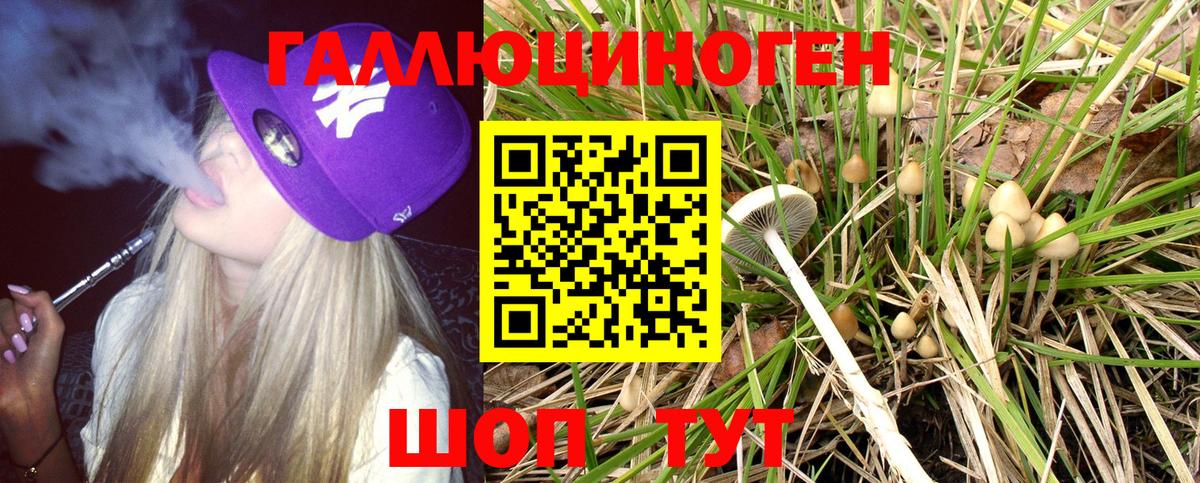 Тамбов  Псилоцибиновые грибы прущие грибы  Галлюциногенные грибы Magic Shrooms  даркнет сайт  Вход с VPN 